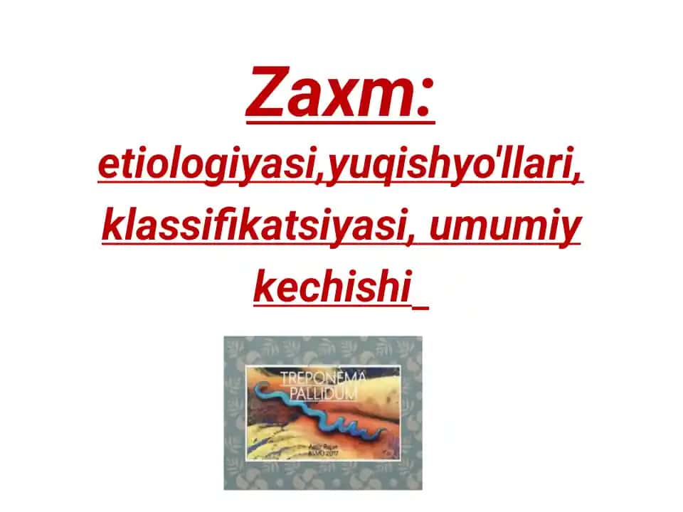 Zaxm prezintatsiya