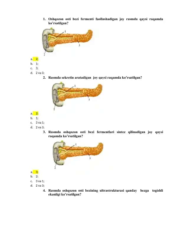Oshqozon osti bezining ultrastrukturasi