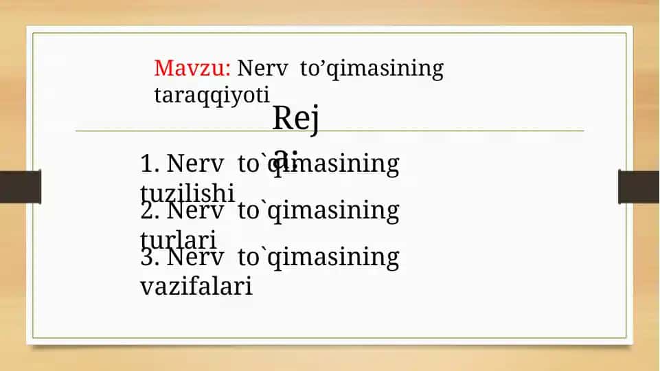 Nerv to’qimasining taraqqiyoti