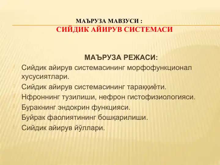 Сийдик айирув системаси
