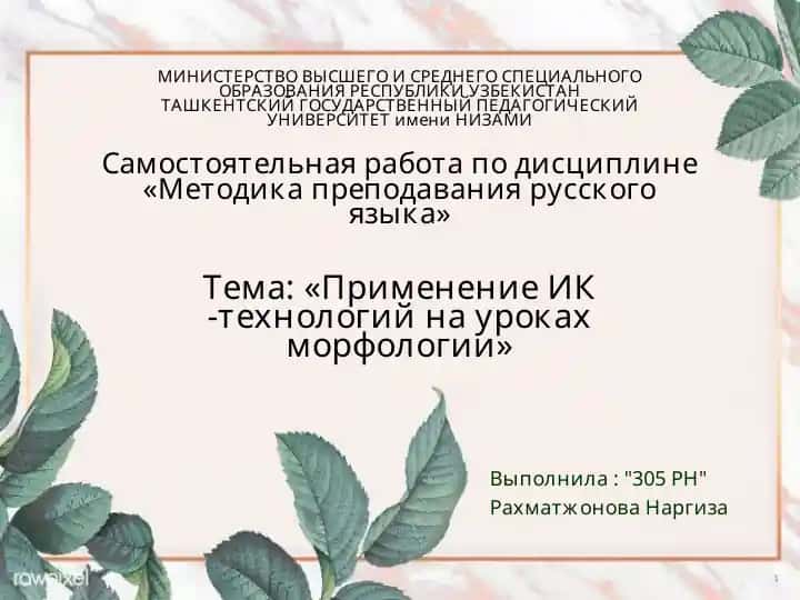Применение ИК-технологий на уроках морфологии