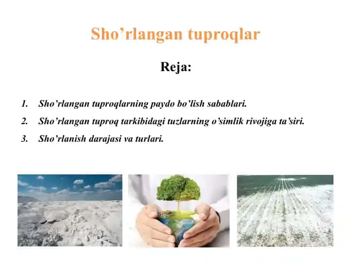 Sho’rlangan tuproqlar