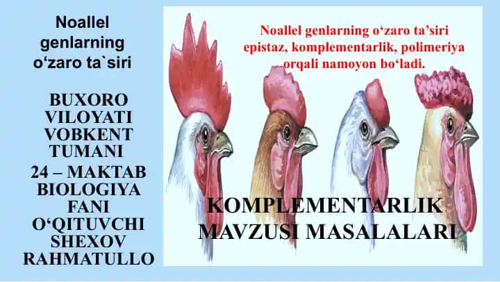 Noallel genlarning o‘zaro ta`siri