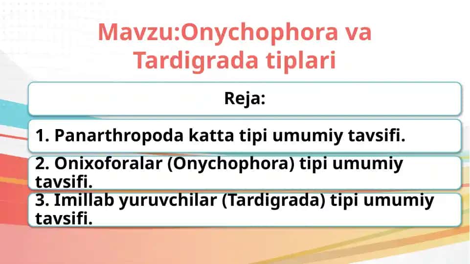 Onychophora va Tardigrada tiplari