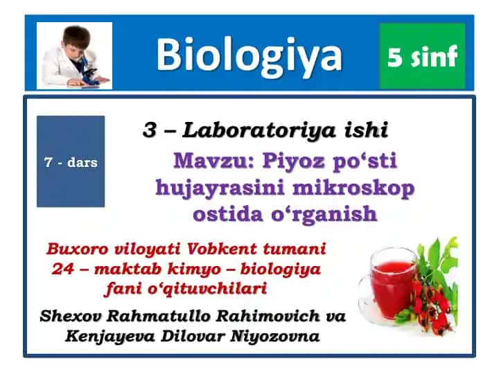 Piyoz po‘sti hujayrasining tuzilishini mikroskopda o'rganish