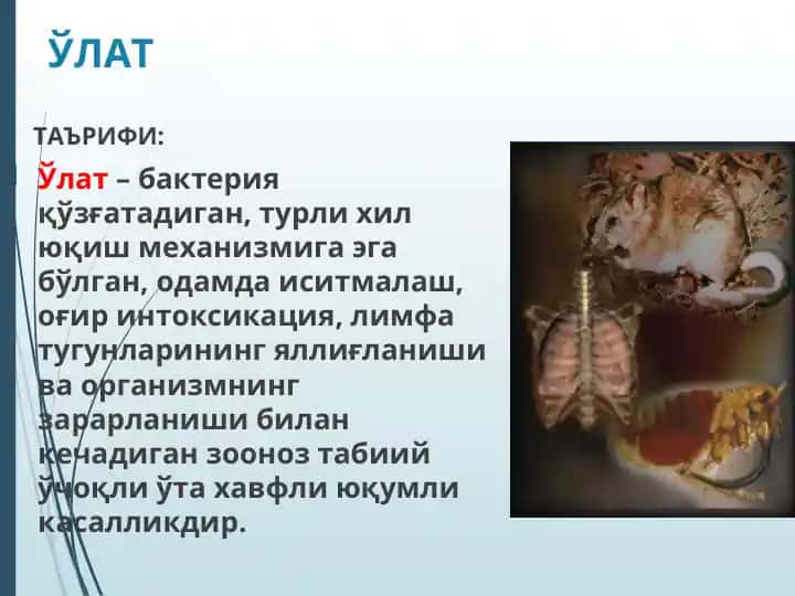 Ўлат
