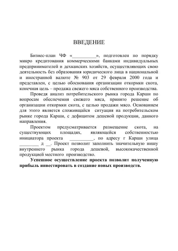 Бизнес-план ЧФ