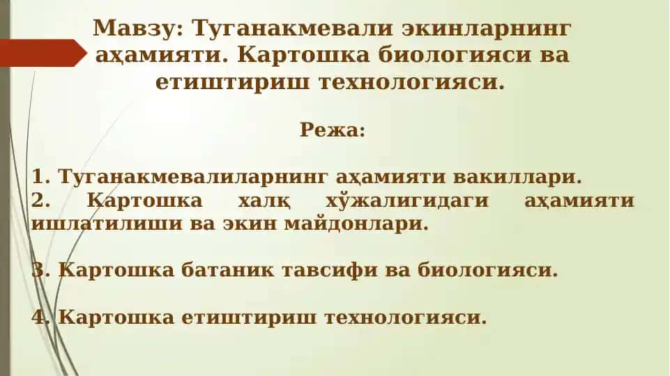 Туганакмевали экинларнинг аҳамияти. Картошка биологияси ва етиштириш технологияси