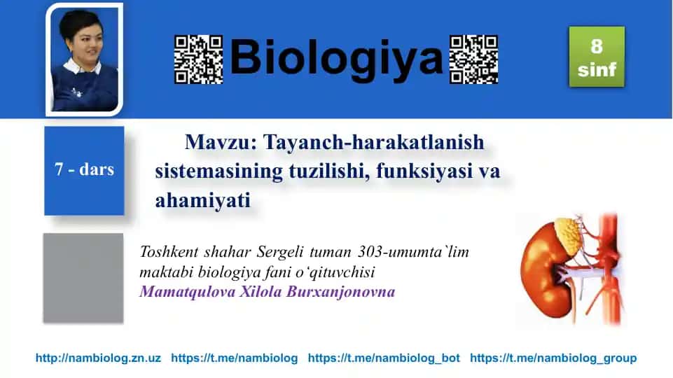 Tayanch-harakatlanish sistemasining tuzilishi, funksiyasi va ahamiyati