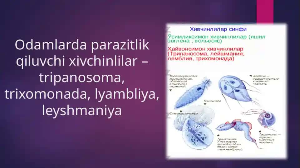 Tripanosoma