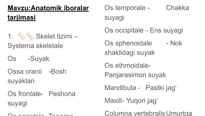 Anatomik iboralar tarjimasi