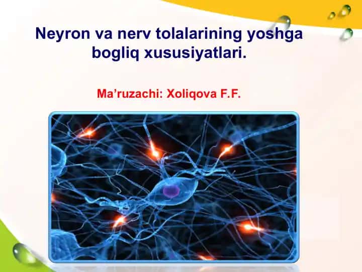 Neyron va nerv tolalarining yoshga bogliq xususiyatlari