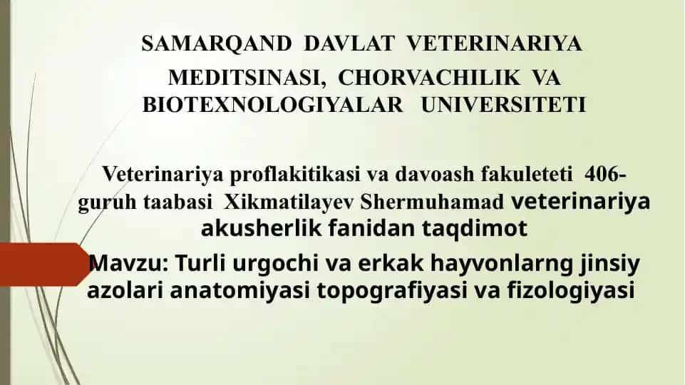Erkak hayvonlarning jinsiy tizimi anatomiyasi va fizologiyasi