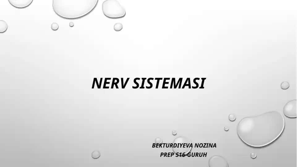 Nerv Sistemasi