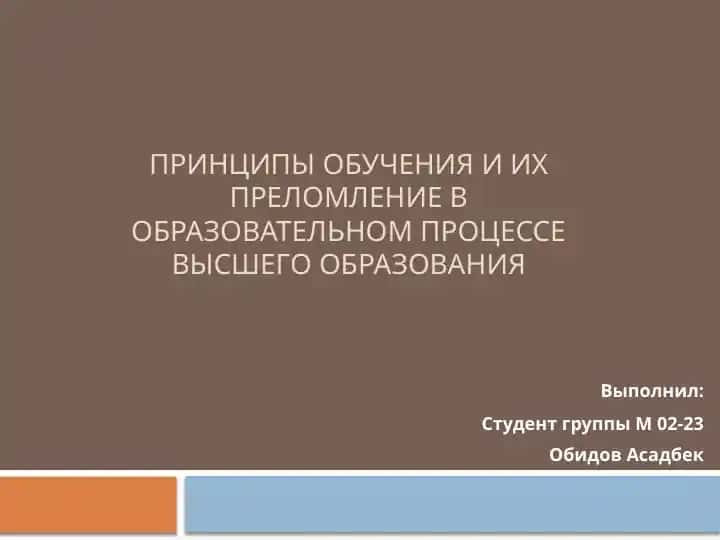 Принципы обучения и их преломление в образовательном процессе высшего образования