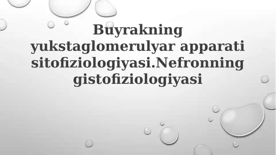 Buyrakning yuxtaglomerulyar apparati sitofiziologiyasi va nefronning gistofiziologiyasi