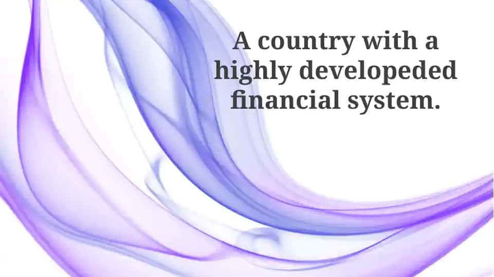 Overview of a Developed Financial System