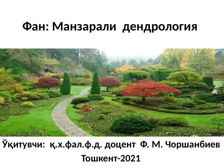 Manzarali dendrologiya