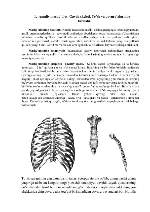 Gavda skеleti