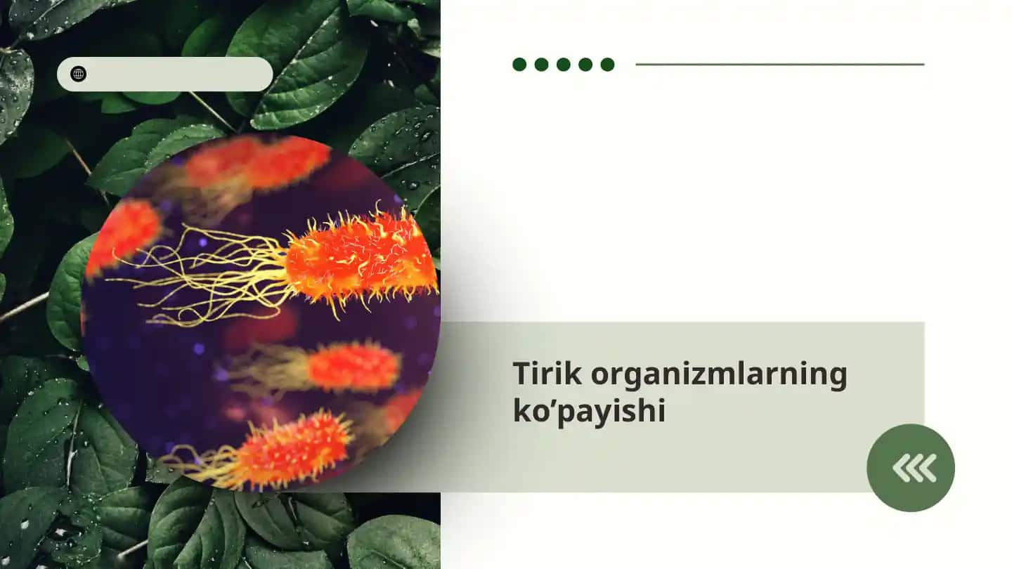 Tirik organizmlarning ko’payishi