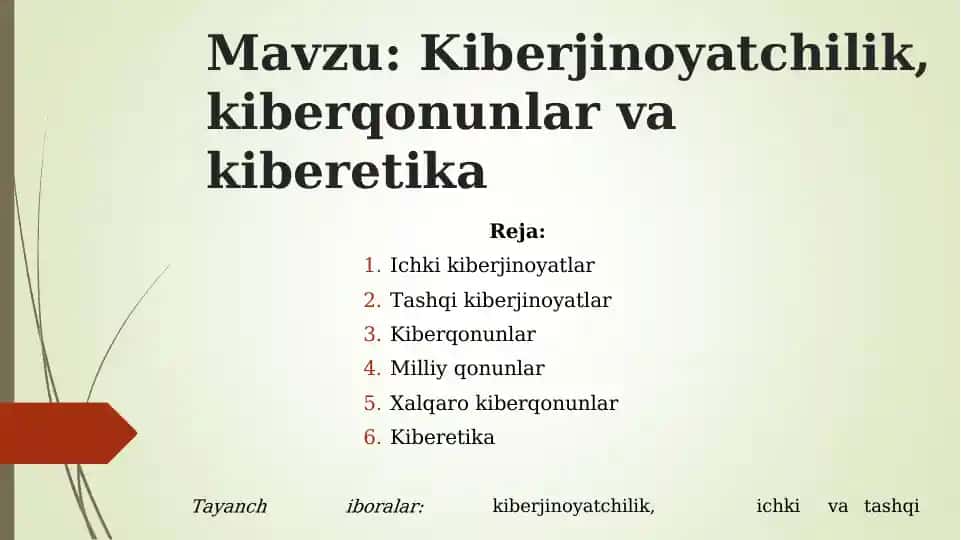 Kiberjinoyatlar