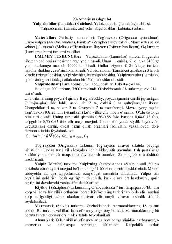 Yalpizkabilar (Lamiidae) sinfchasi