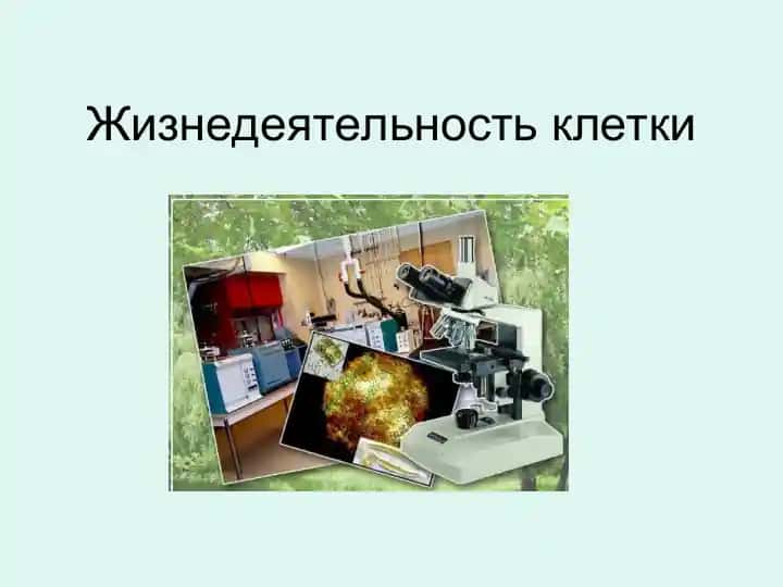 Жизнедеятельность клетки