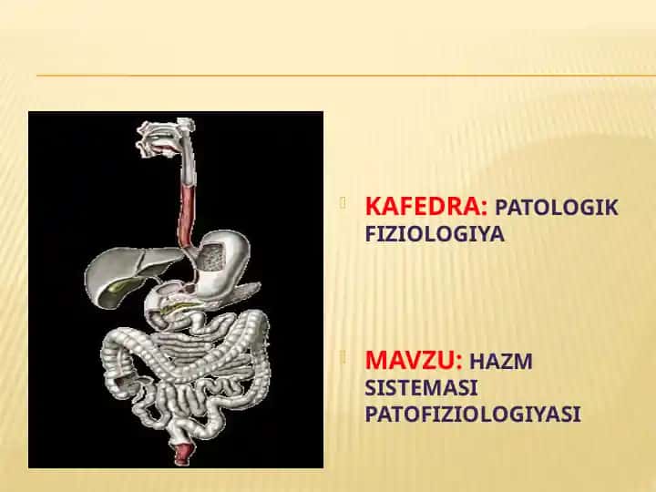 HAZM SISTEMASI PATOFIZIOLOGIYASI