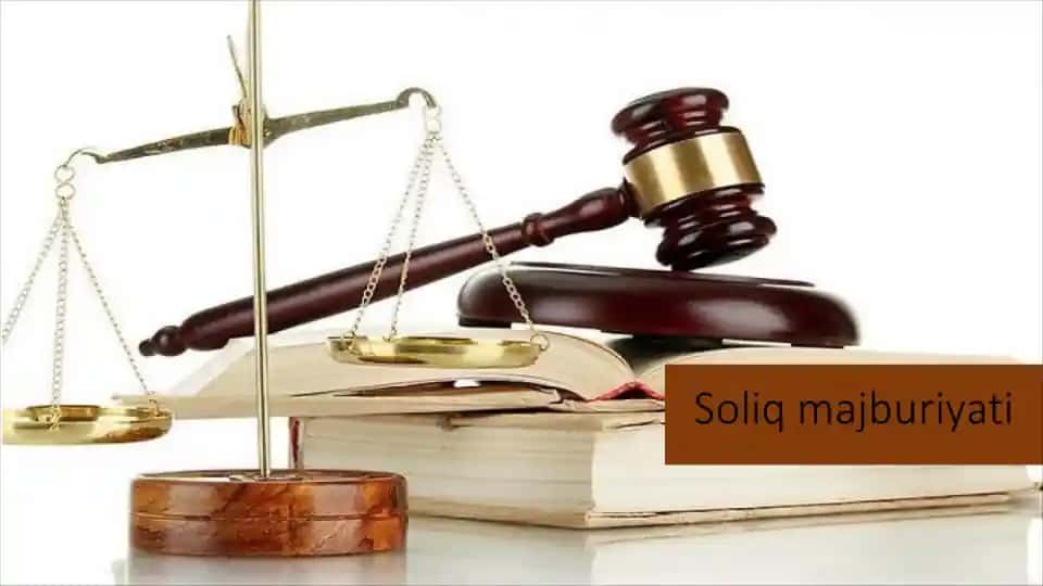 Soliq majburiyatini bajarish. Soliq nazorati
