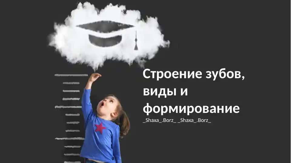 Строение зубов, виды и формирование