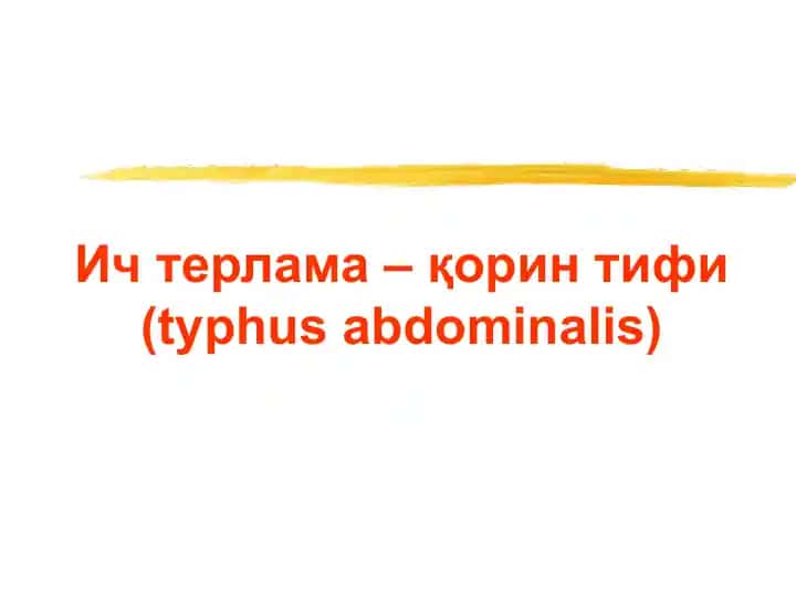 Ич терлама –қорин тифи (typhus abdominalis)