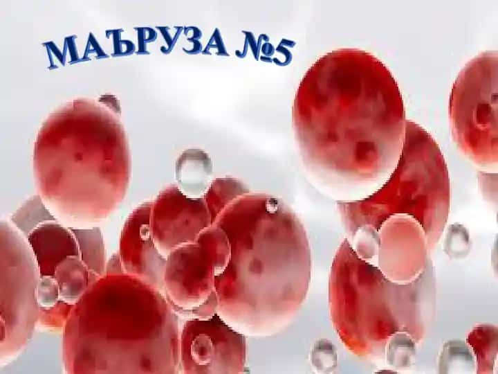 Fizioterapiya