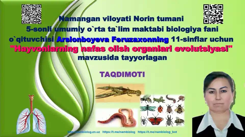 "Hayvonlarning nafas olish organlari evolutsiyasi"