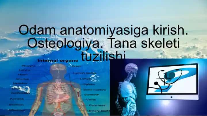 Odam anatomiyasi