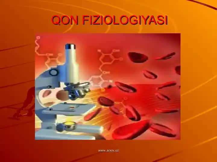 Qon Fiziyologiyasi