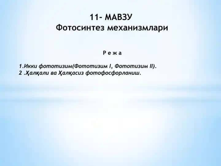 Фотосинтез механизмлари