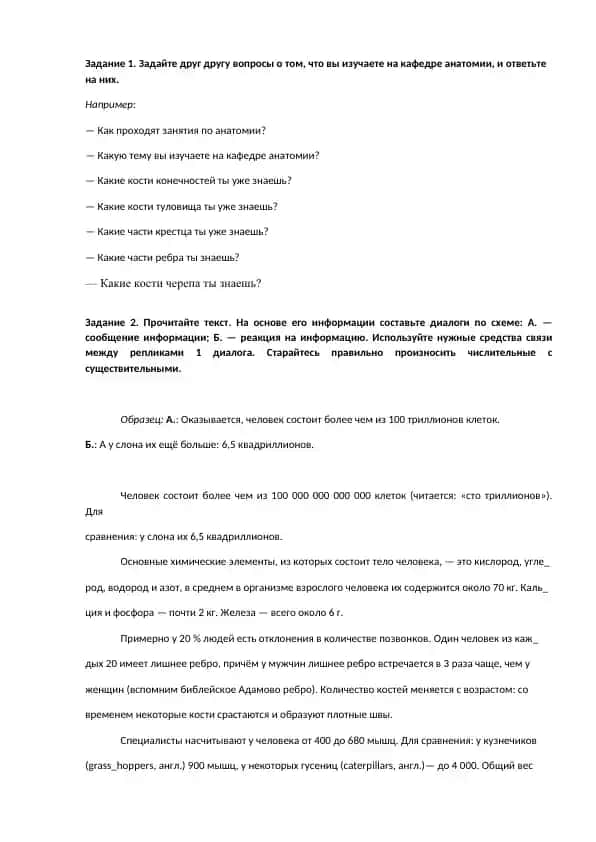 Анатомия