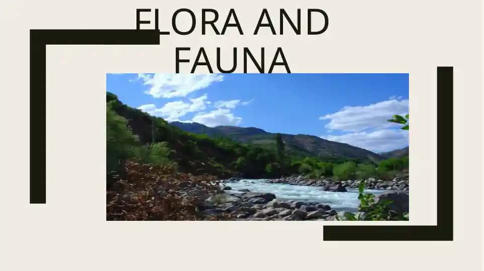 Floristika va faunistika