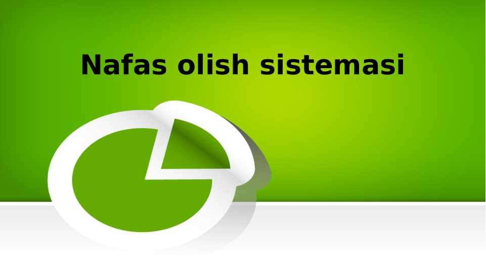 Nafas olish sistemasi tuzilishi
