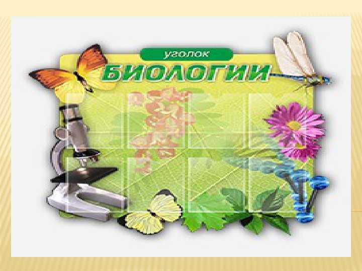 BIOLOGIYA KABINETI.UNING JIHOZLANISHI