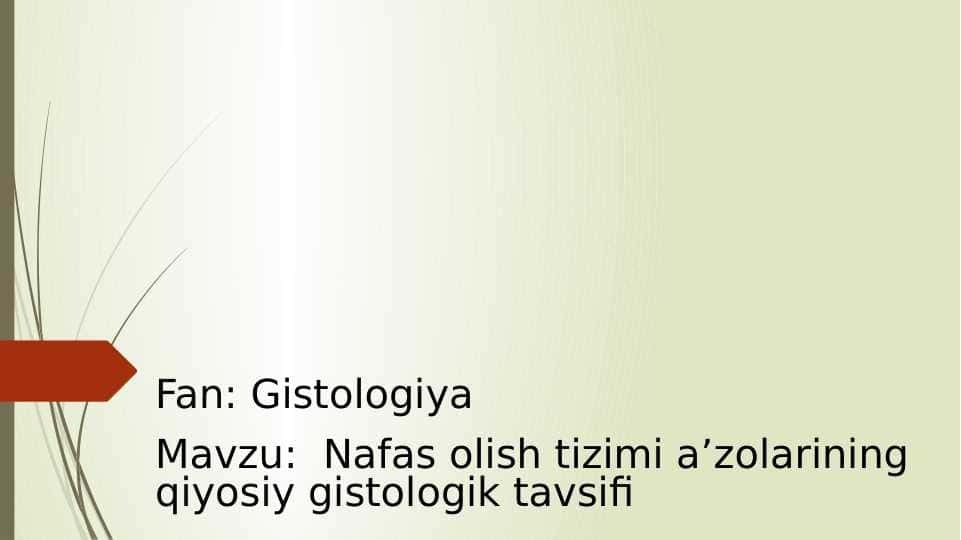 Nafas olish tizimi a’zolarining qiyosiy gistologik tavsifi