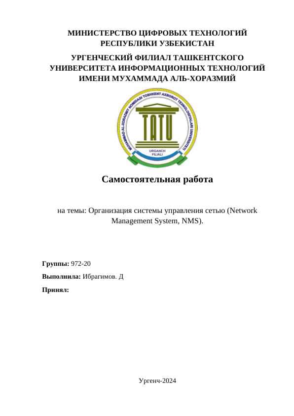 Организация системы управления сетью (Network Management System, NMS)