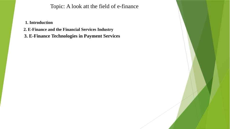 A look att the field of e-finance