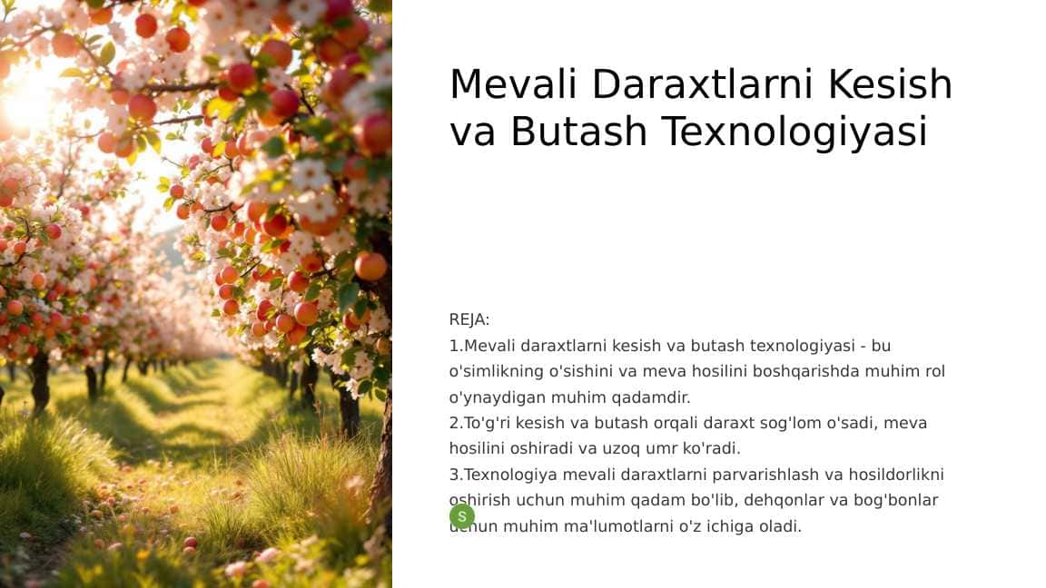 Meva va Rezavor Meva O'simliklari: Tashqi Muhit Omillariga Talab