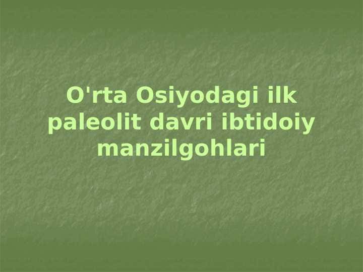 O'rta Osiyodagi ilk paleolit davri ibtidoiy manzilgohlari