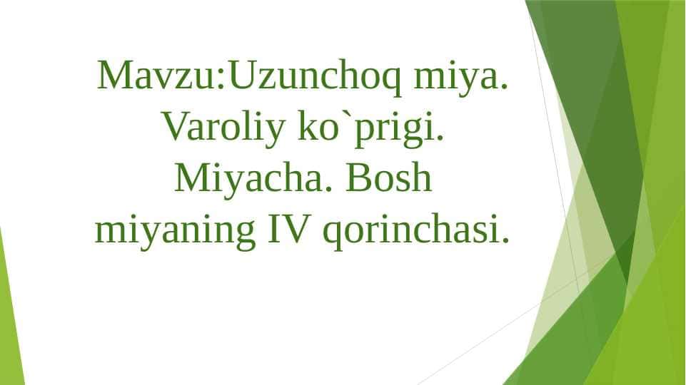 Uzunchoq miya. Varoliy ko`prigi. Miyacha. Bosh miyaning IV qorinchasi