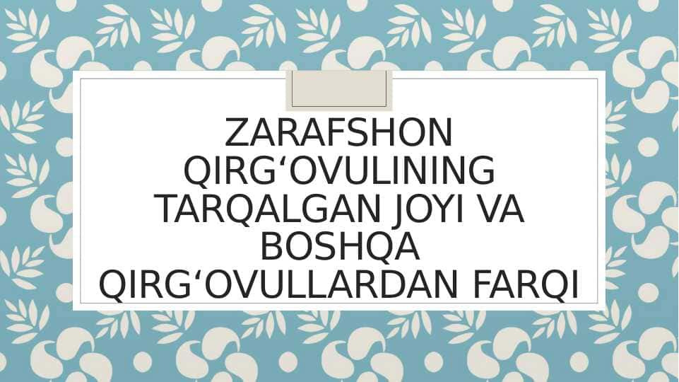 Zarafshon qirgʻovulining tarqalgan joyi va boshqa qirgʻovullardan farqi