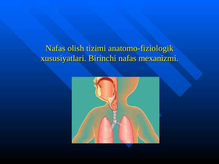 Nаfаs оlish tizimi аnаtоmо-fiziоlоgik хusu... . Birinchi nаfаs mеxаnizmi