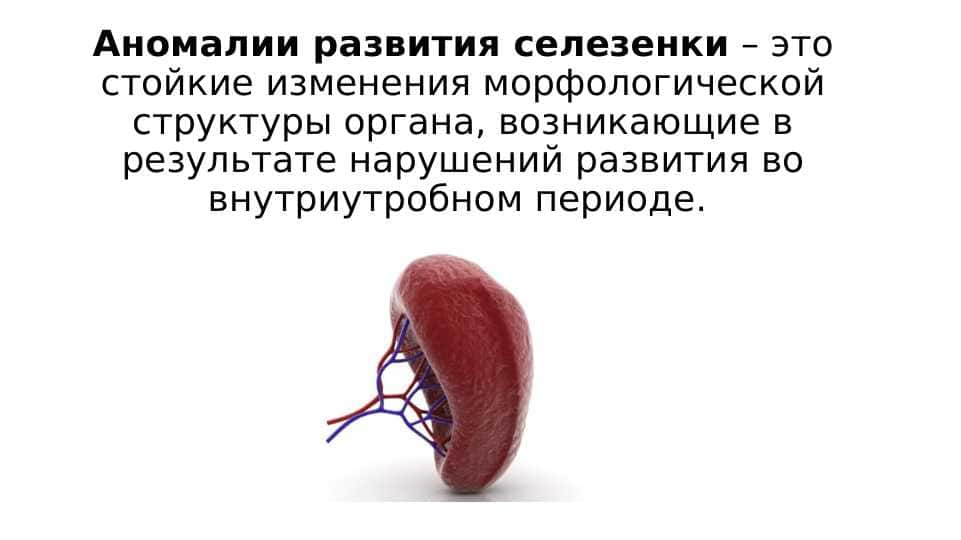 Taloq tug'ma simptonlari rus ppt