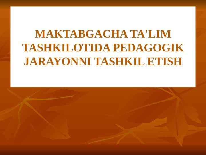 MAKTABGACHA TA'LIM TASHKILOTIDA PEDAGOGIK JARAYONNI TASHKIL ETISH